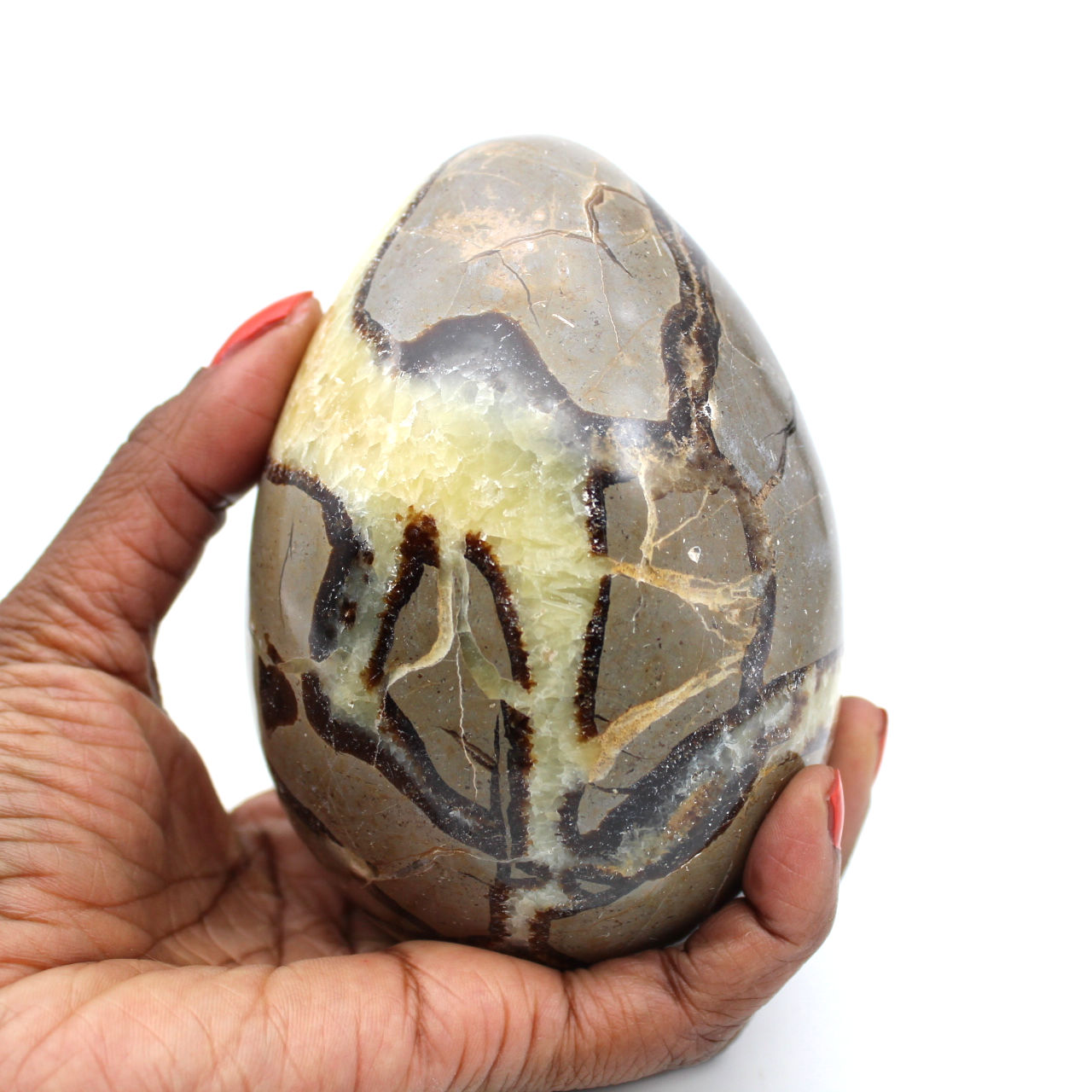 Mineral egg in septaria
