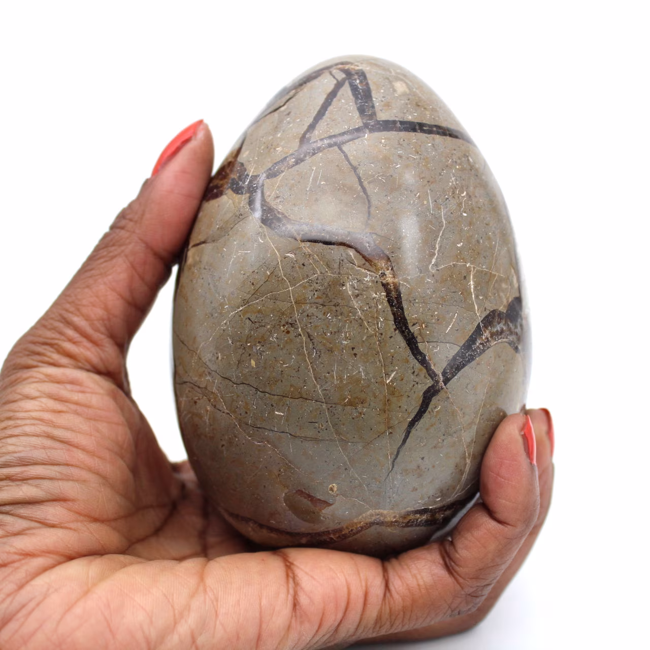 Mineral egg in septaria