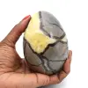 Mineral egg in septaria - 0