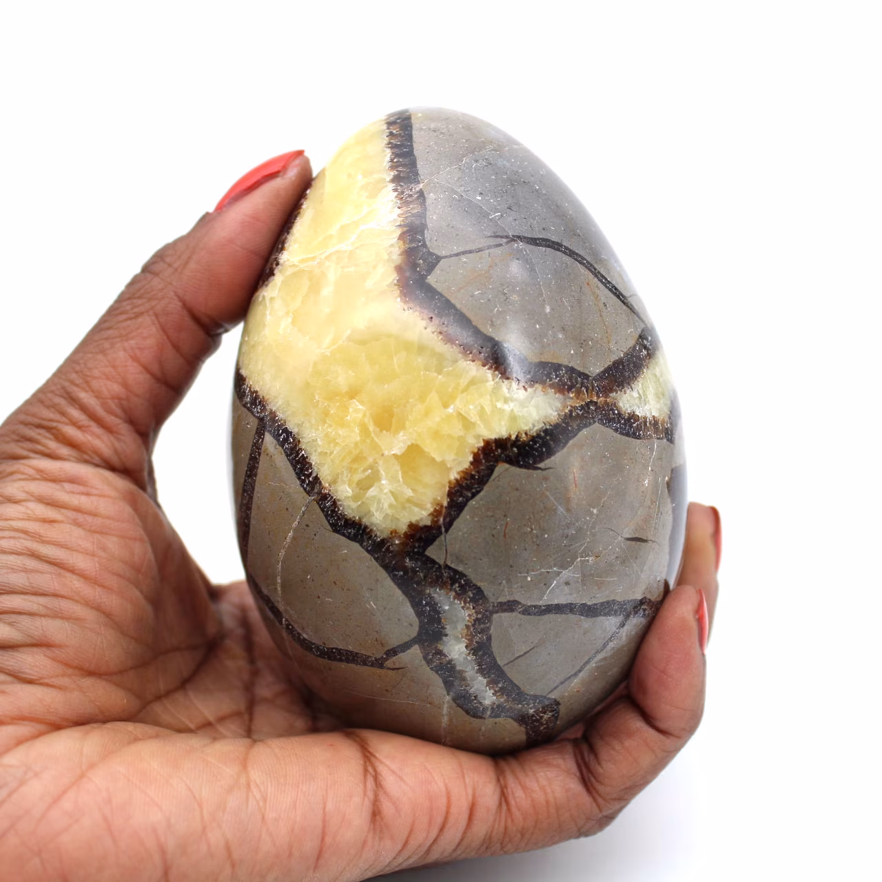 Mineral egg in septaria