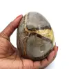 Mineral egg in septaria - 0