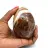 Agate mineral egg