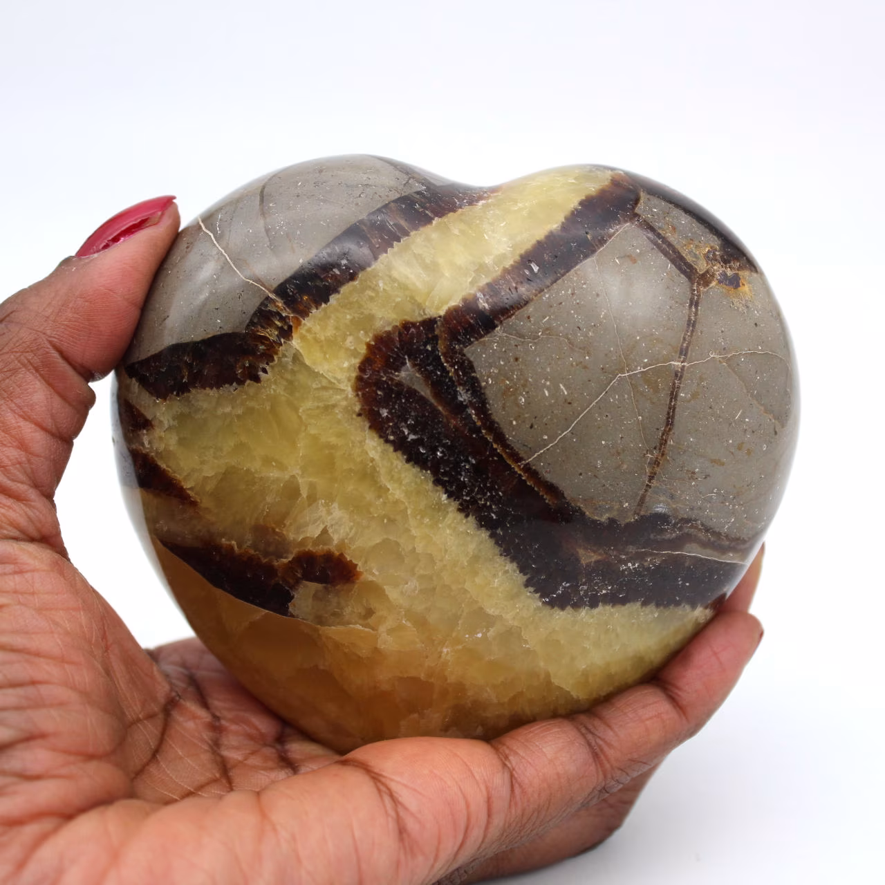 Heart in septaria