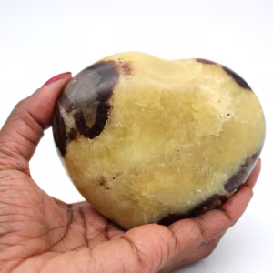 Heart in septaria