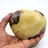 Heart in septaria