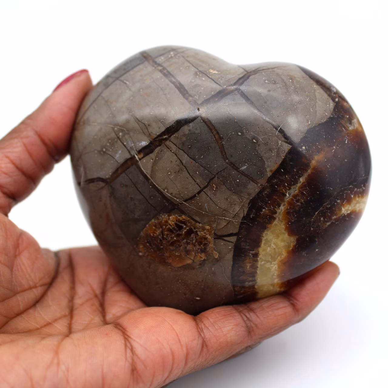 Heart in septaria