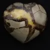 Heart in septaria - 1