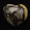 Heart in septaria - 2