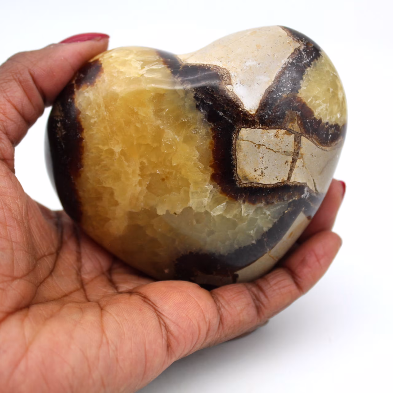 Heart in septaria