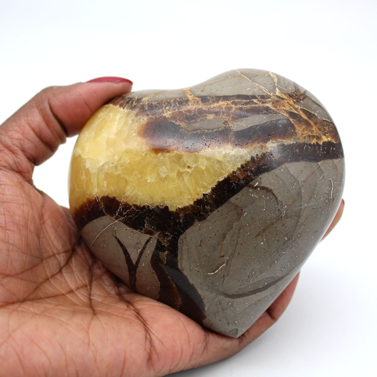 Heart in septaria