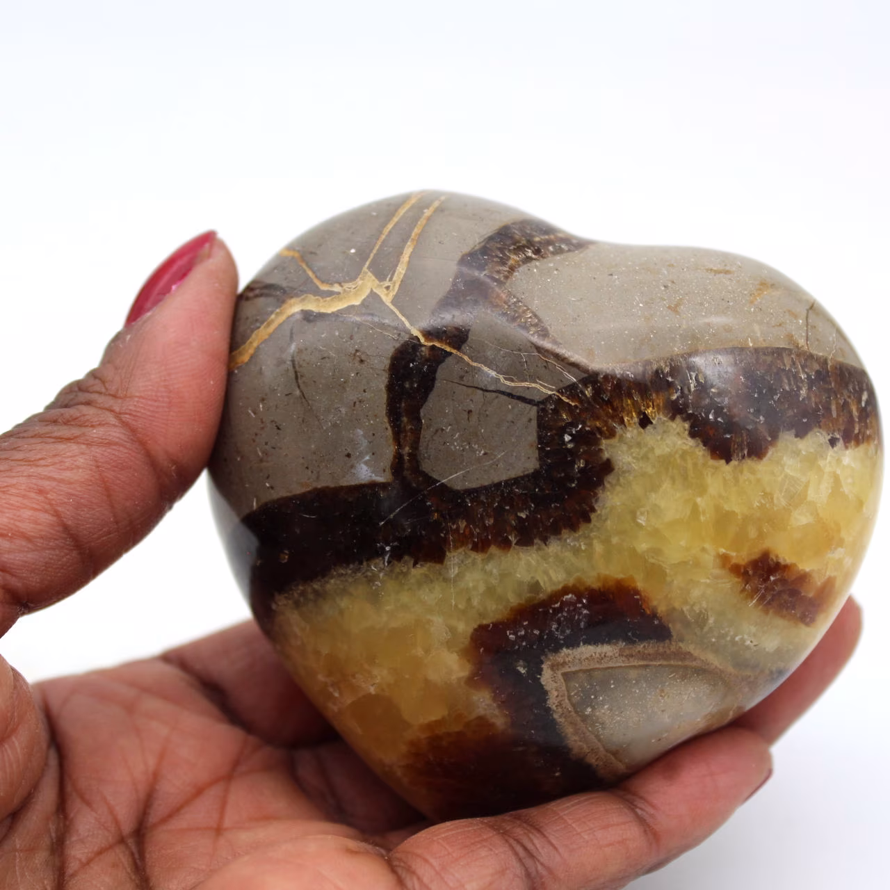 Heart in septaria