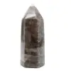 Polished Smoky Quartz Prism - 2