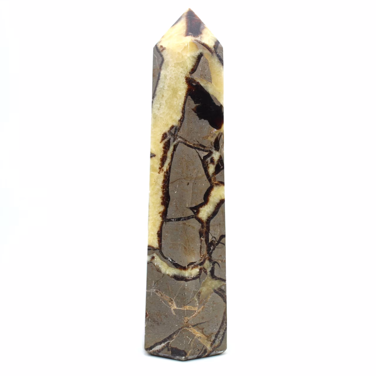 Prism in septaria
