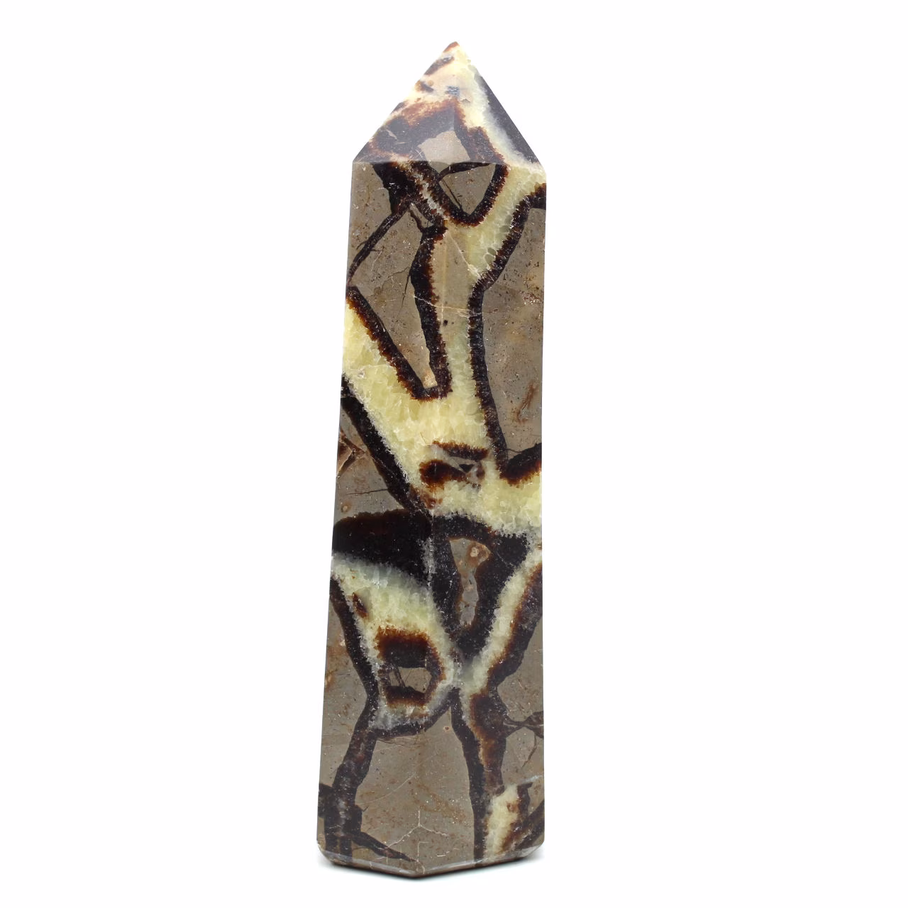 Prism in septaria