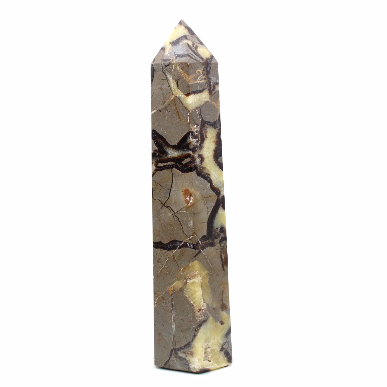 Prism in septaria