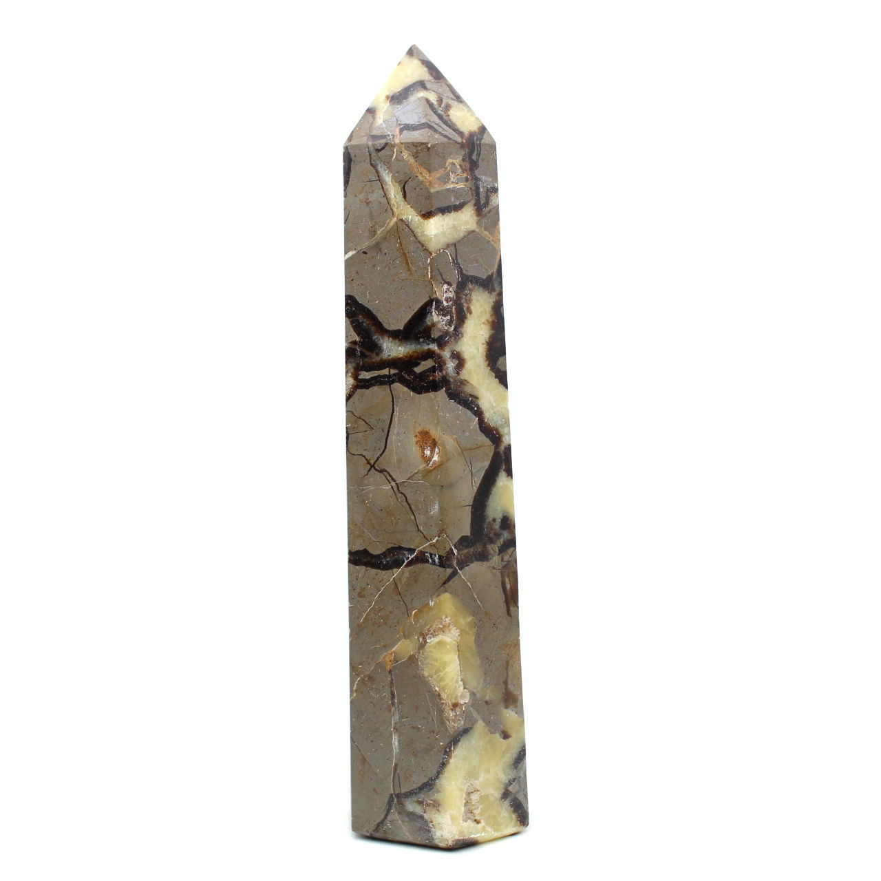 Prism in septaria