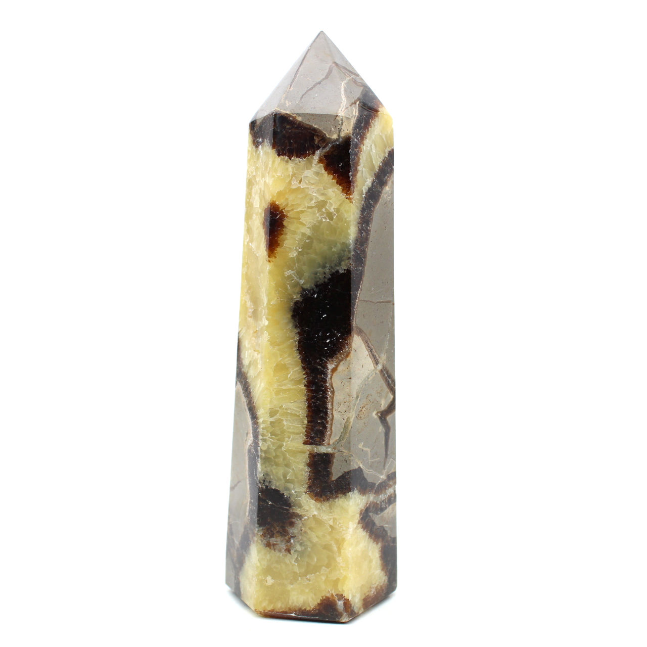 Prism in septaria