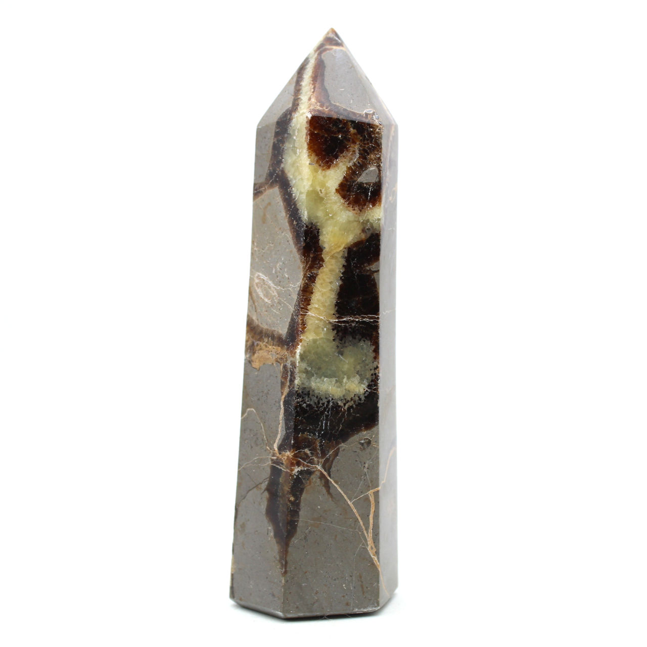Prism in septaria