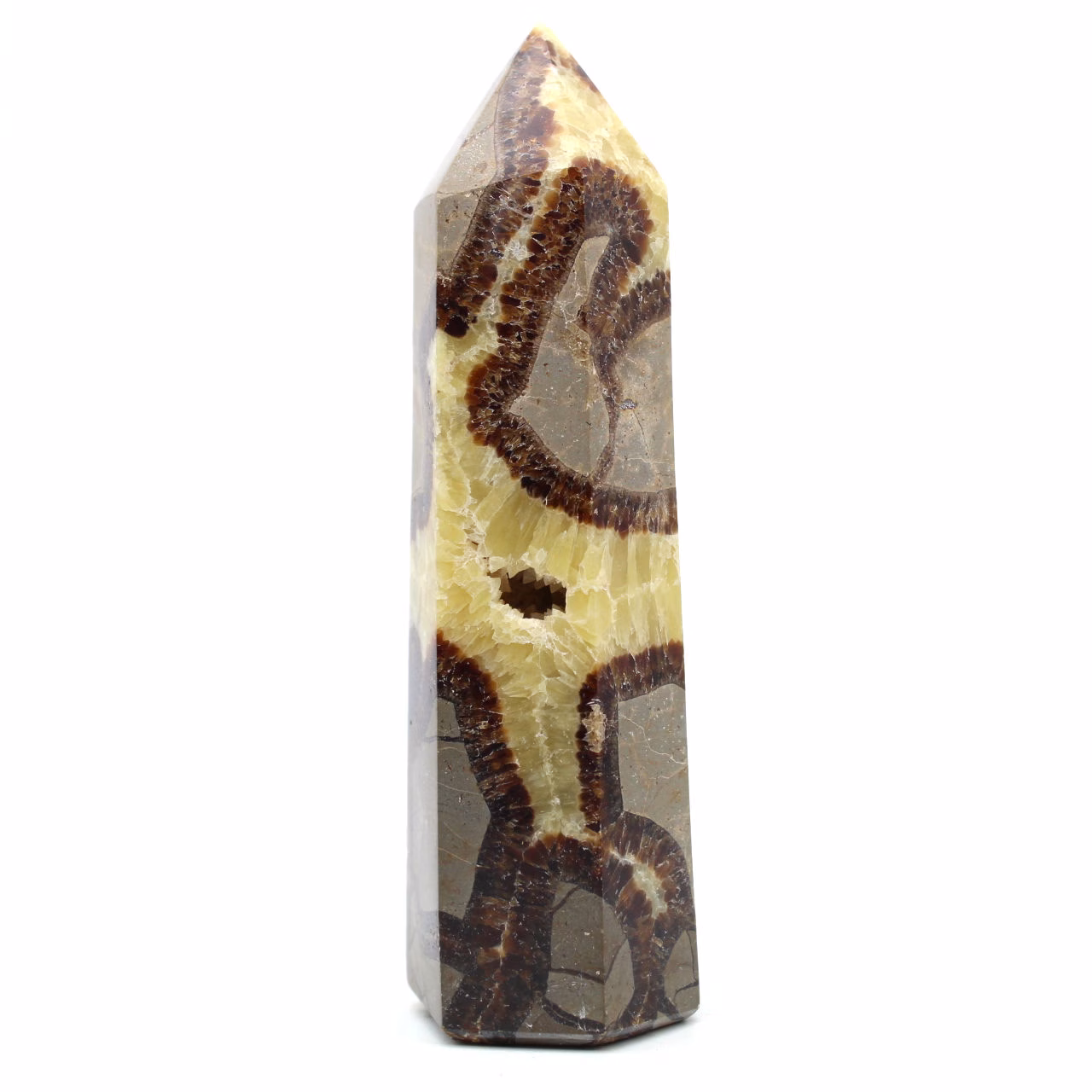 Prism in septaria