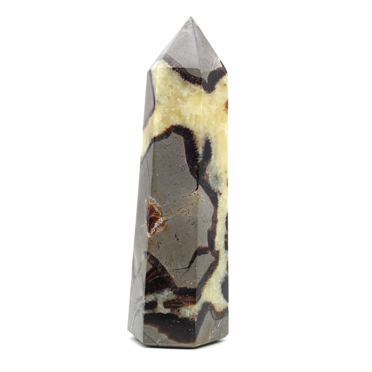 Prism in septaria