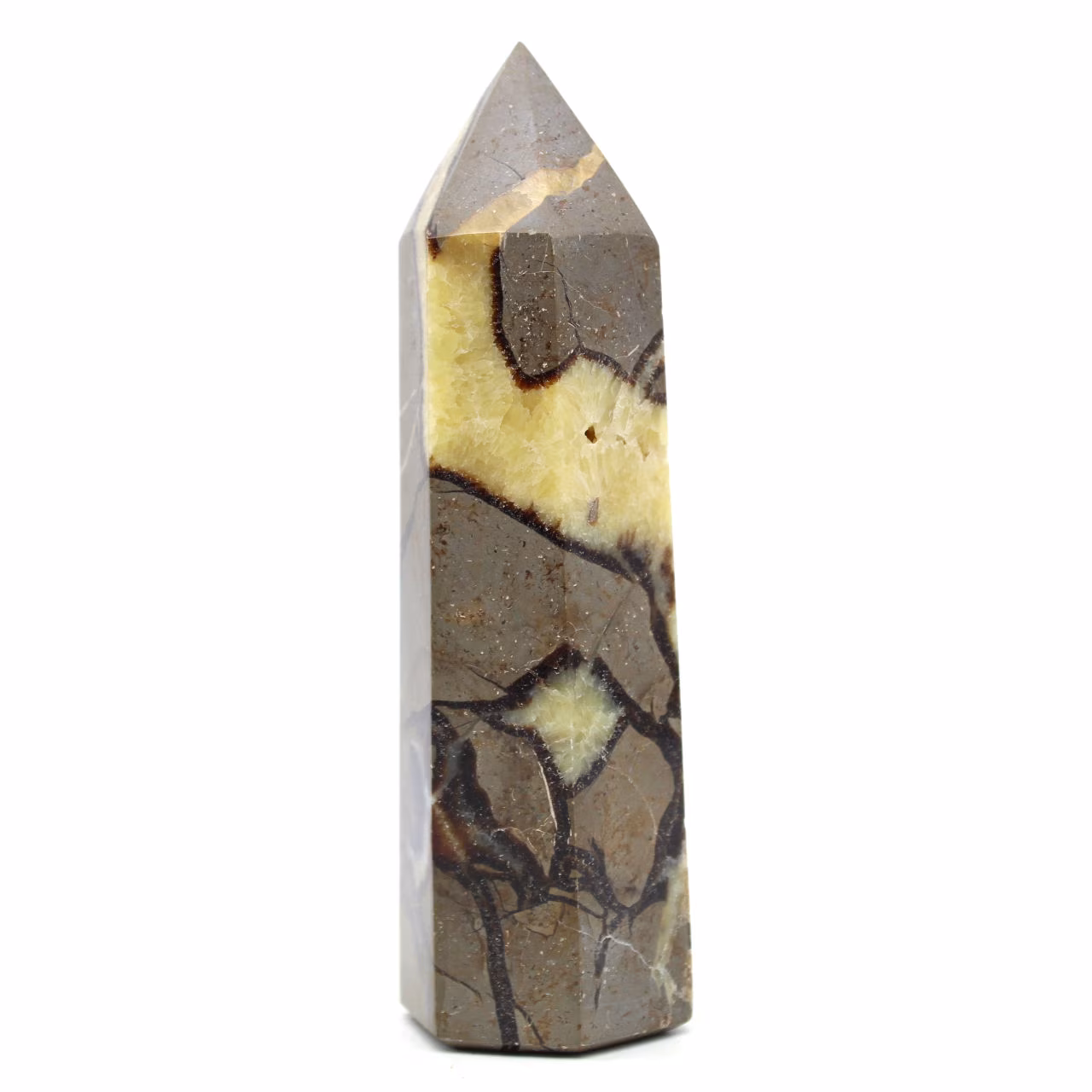 Prism in septaria