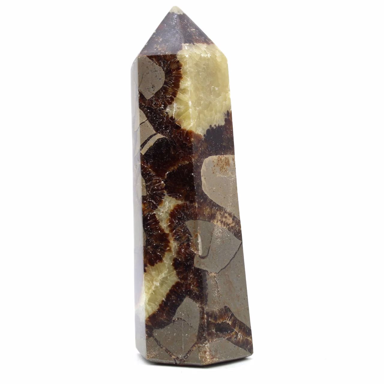 Prism in septaria