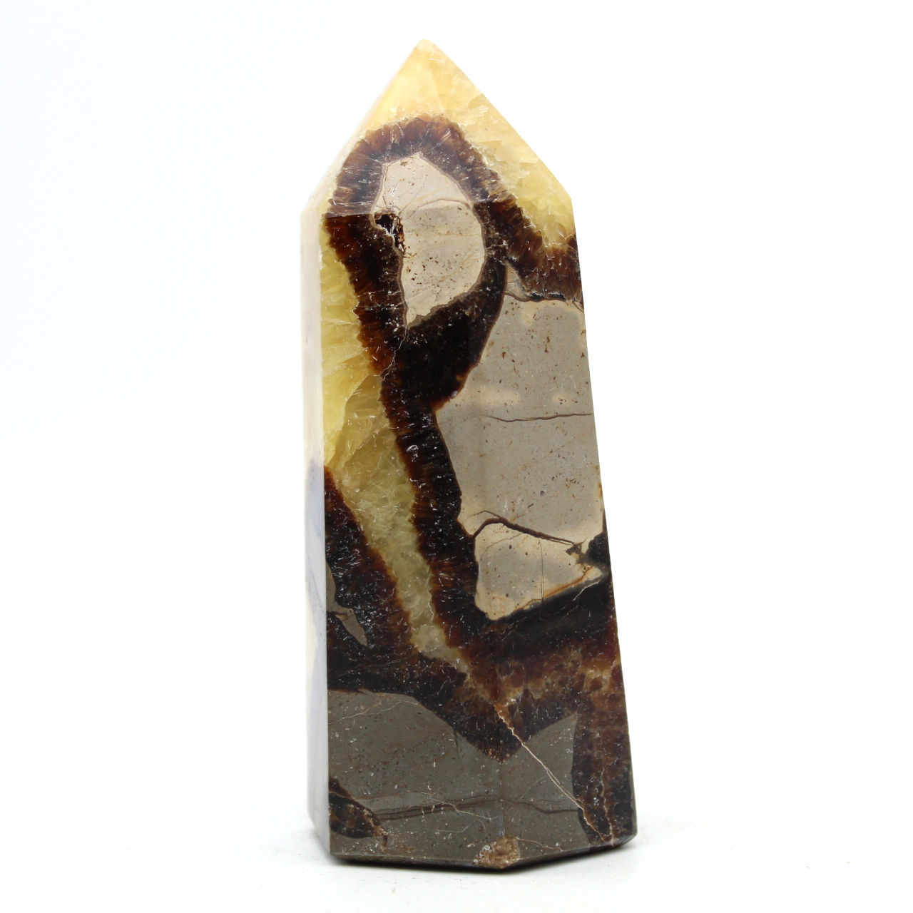 Prism in septaria