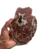 Natural polished petrified wood - 0