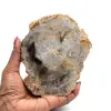 Natural petrified wood - 0
