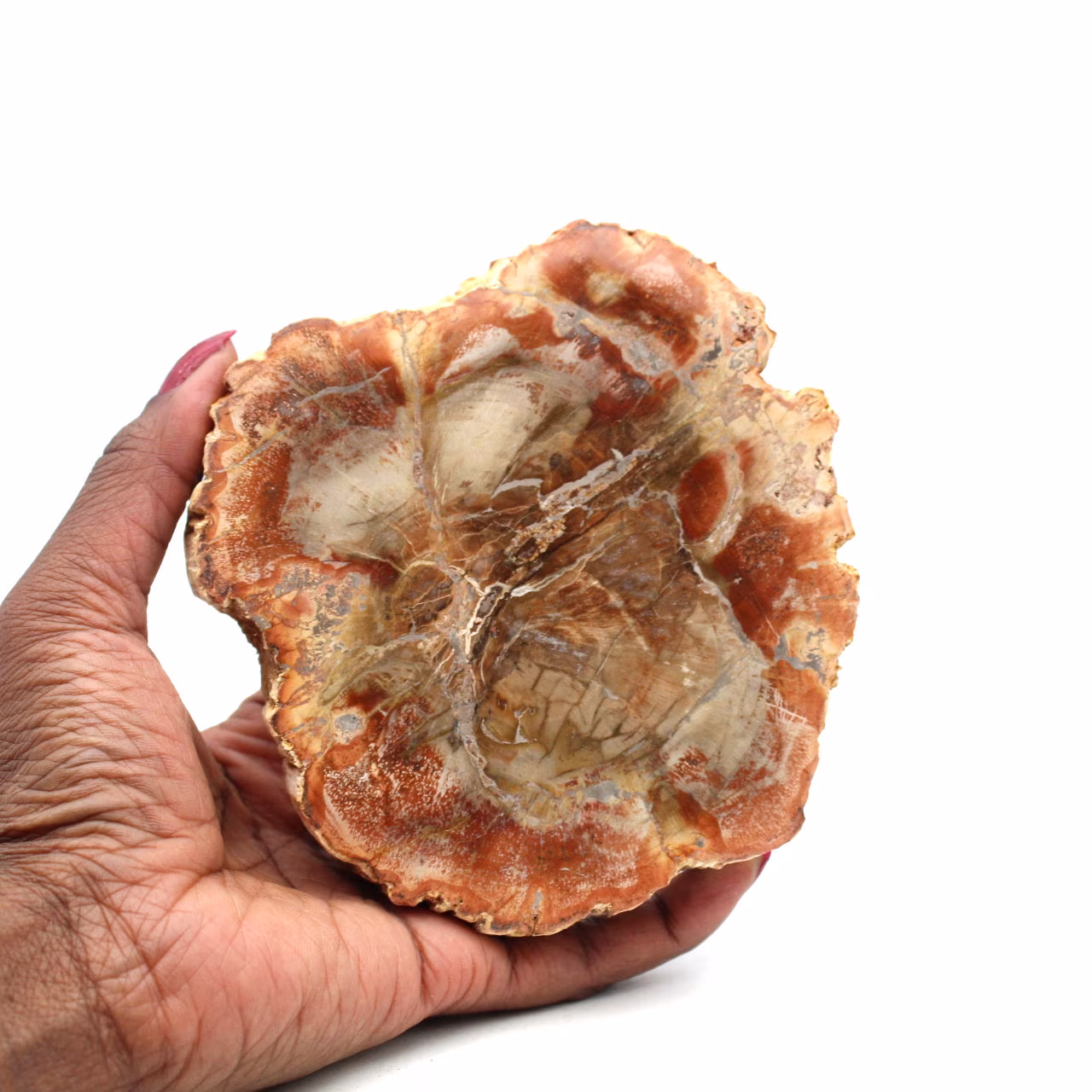 Natural fossilized wood