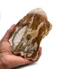Natural polished silicified wood - 0