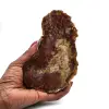 Natural polished petrified wood - 0
