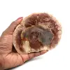 Natural polished fossilized wood - 0