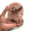 Slice of natural petrified wood - 0