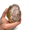 Slice of natural fossilized wood - 0