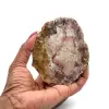 Natural silicified wood - 0