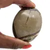 Pebbles of septaria - 1