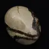 Pebbles of septaria - 0