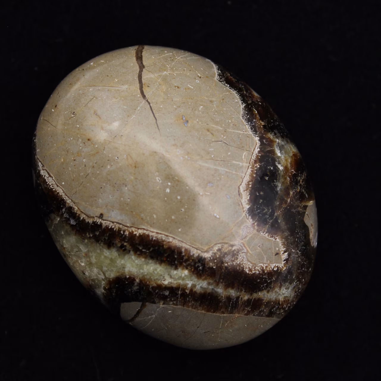 Pebbles of septaria