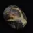 Pebbles of septaria