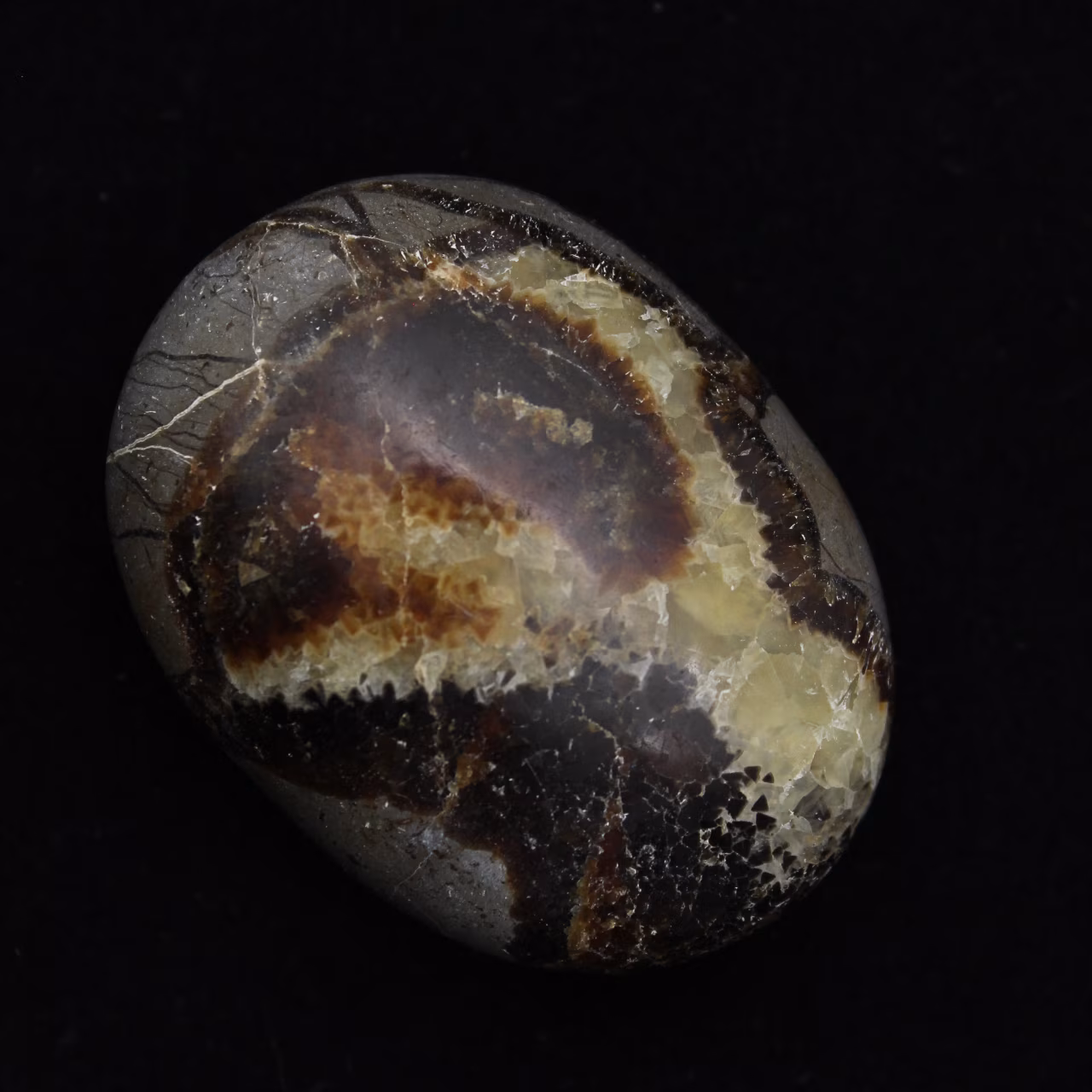 Pebbles of septaria