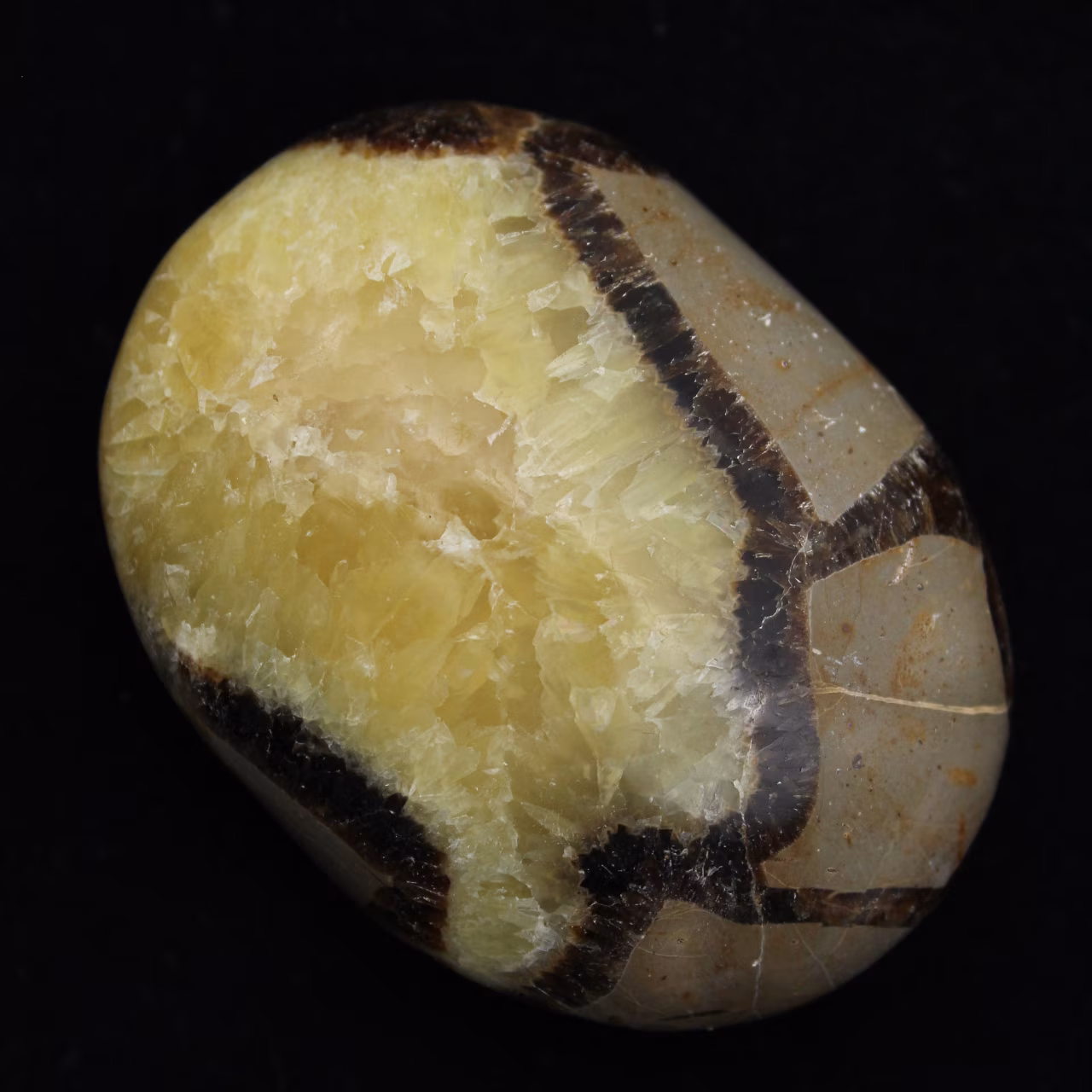 Pebbles of septaria