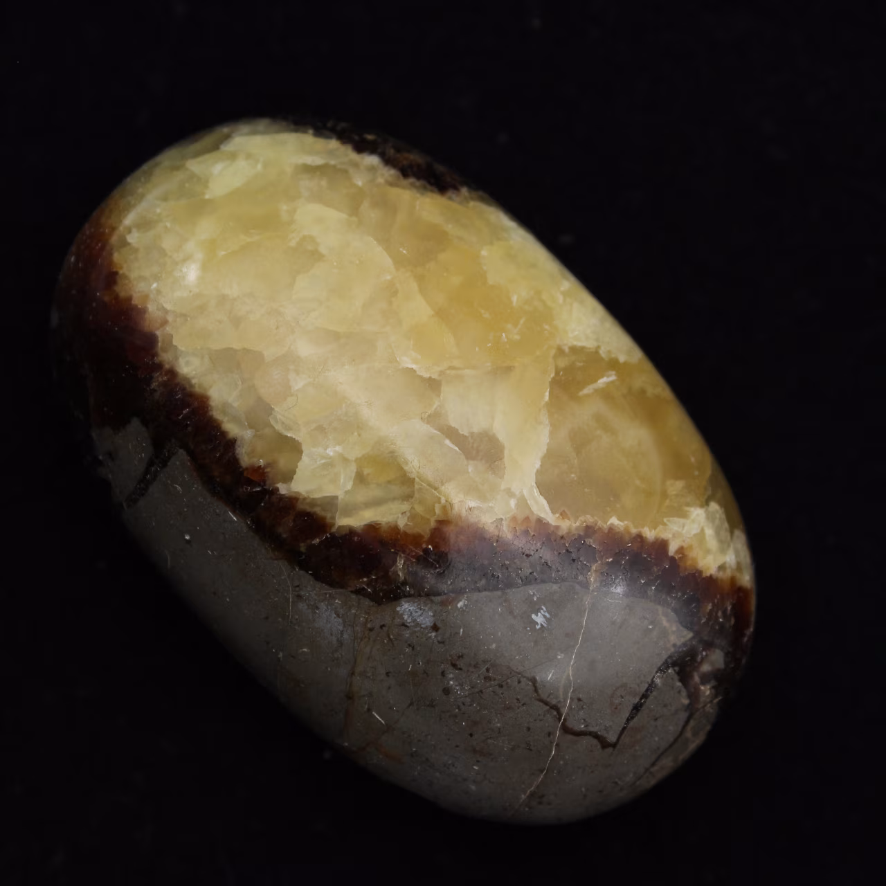 Pebbles of septaria