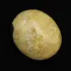 Pebbles of septaria - 0
