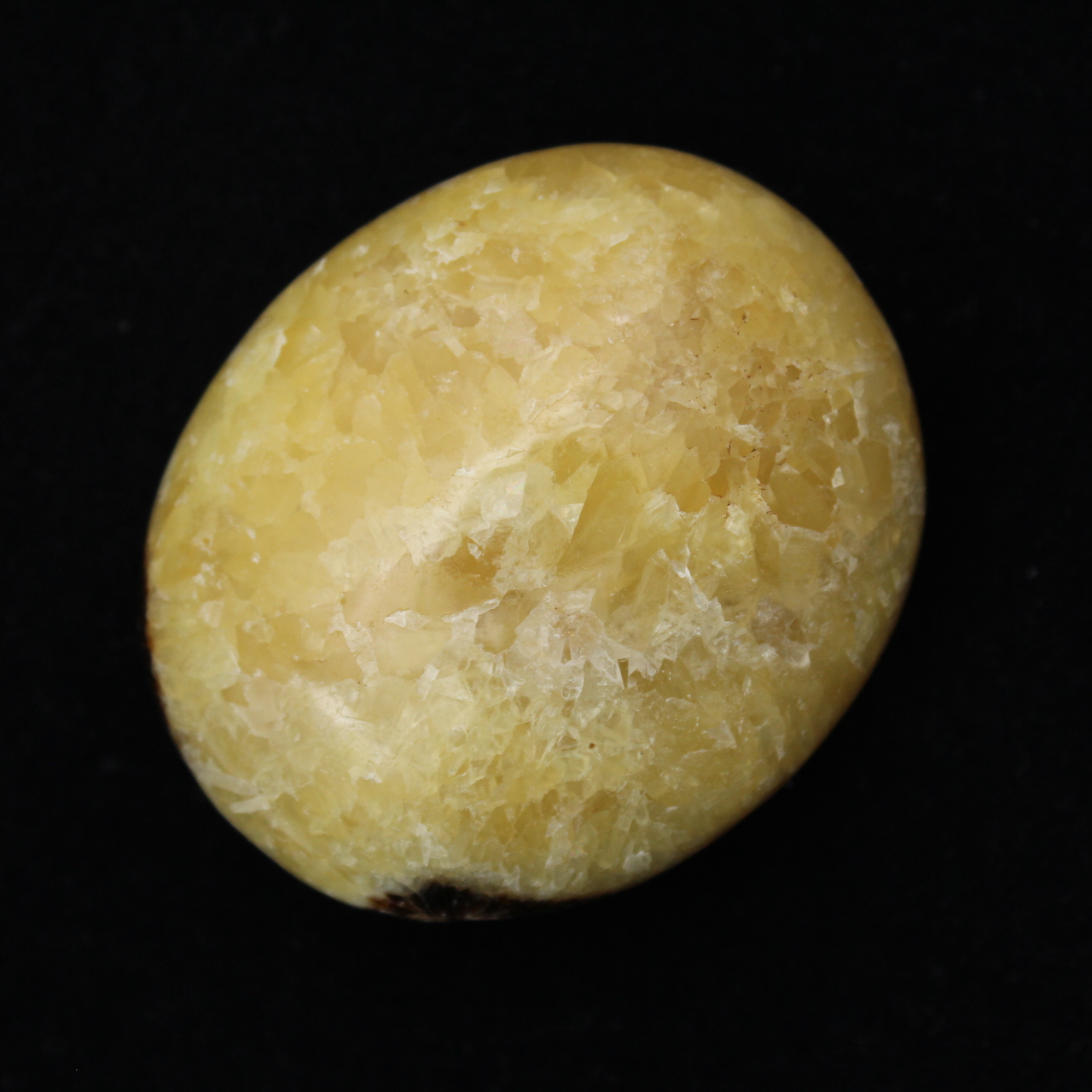 Pebbles of septaria