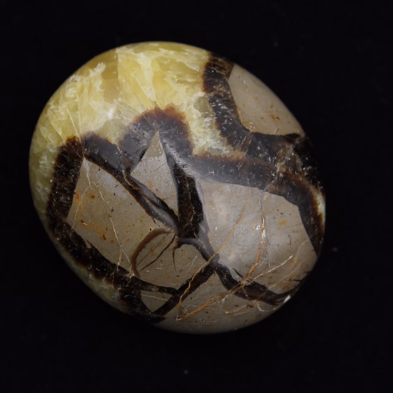 Pebbles of septaria