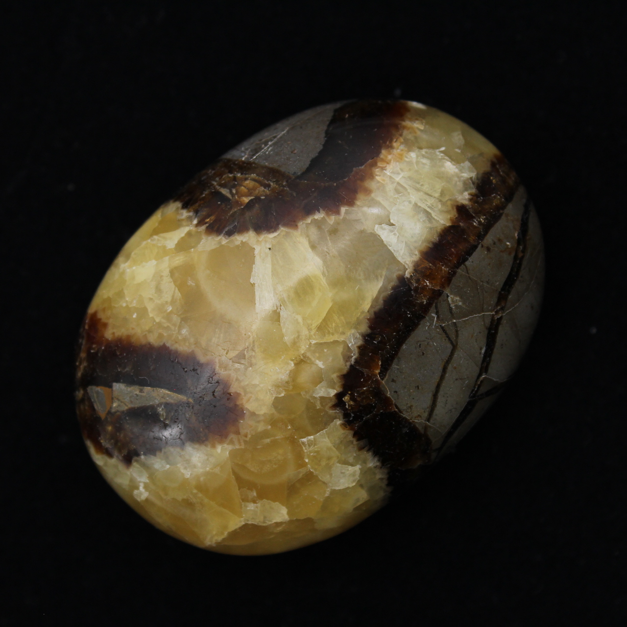 Pebbles of septaria