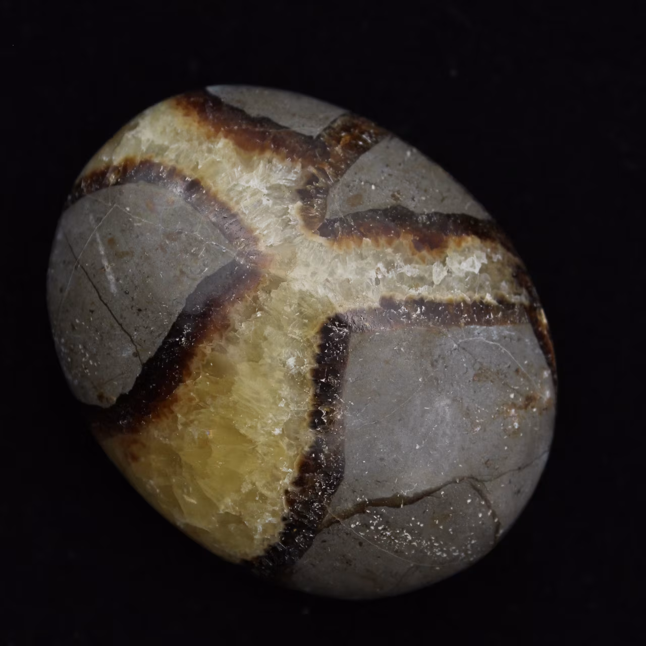 Pebbles of septaria