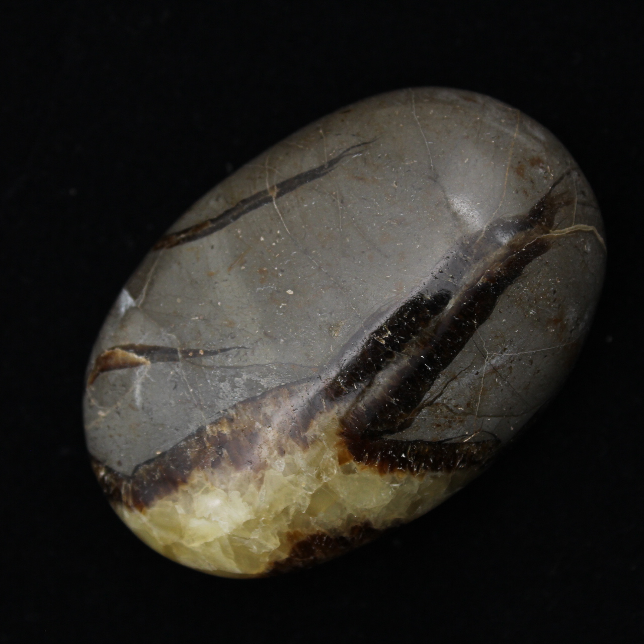 Pebbles of septaria