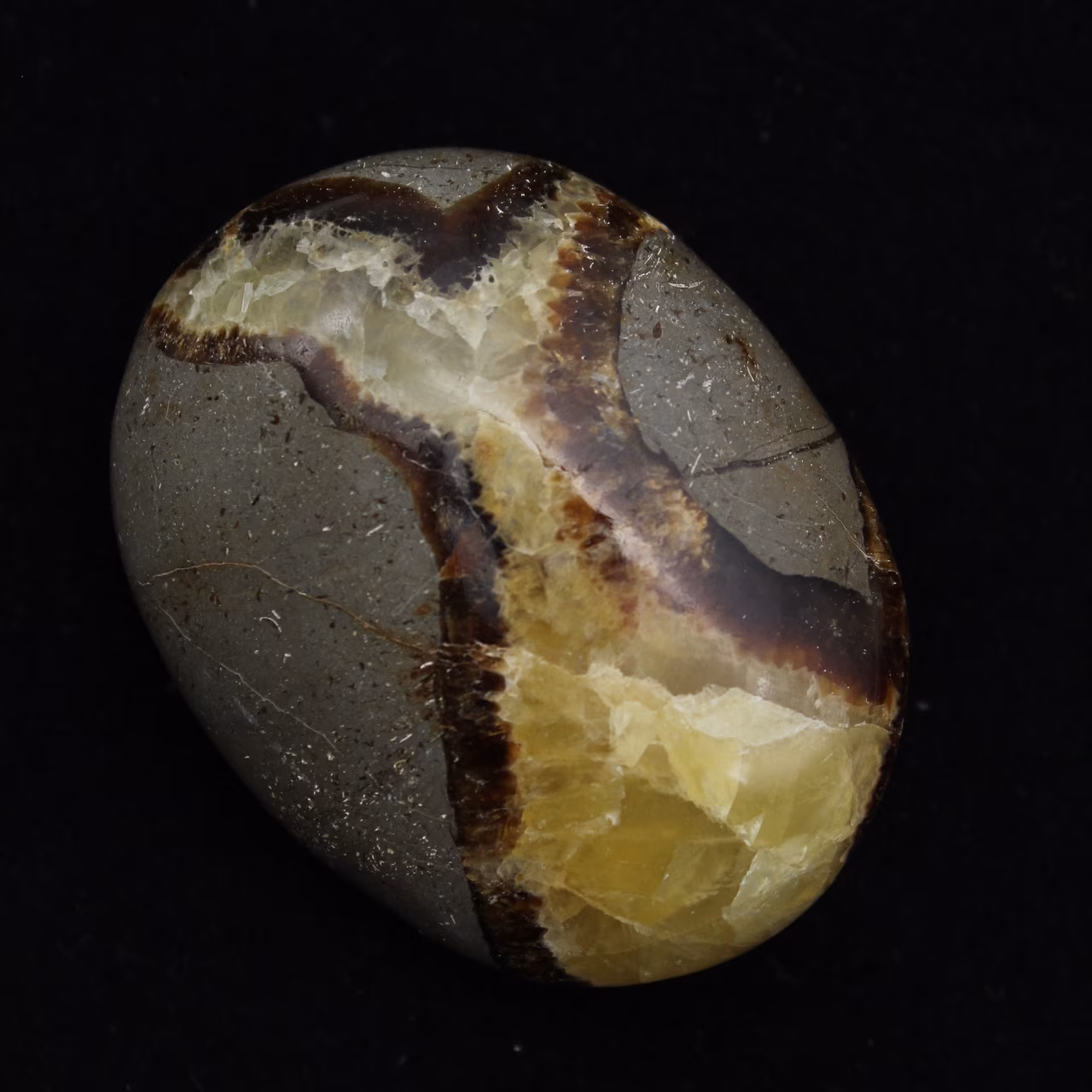 Pebbles of septaria
